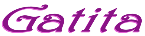 Gatita